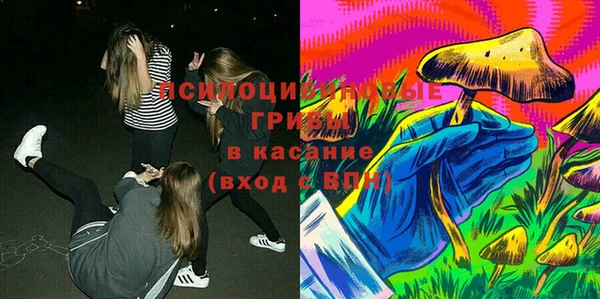 тгк Алексин