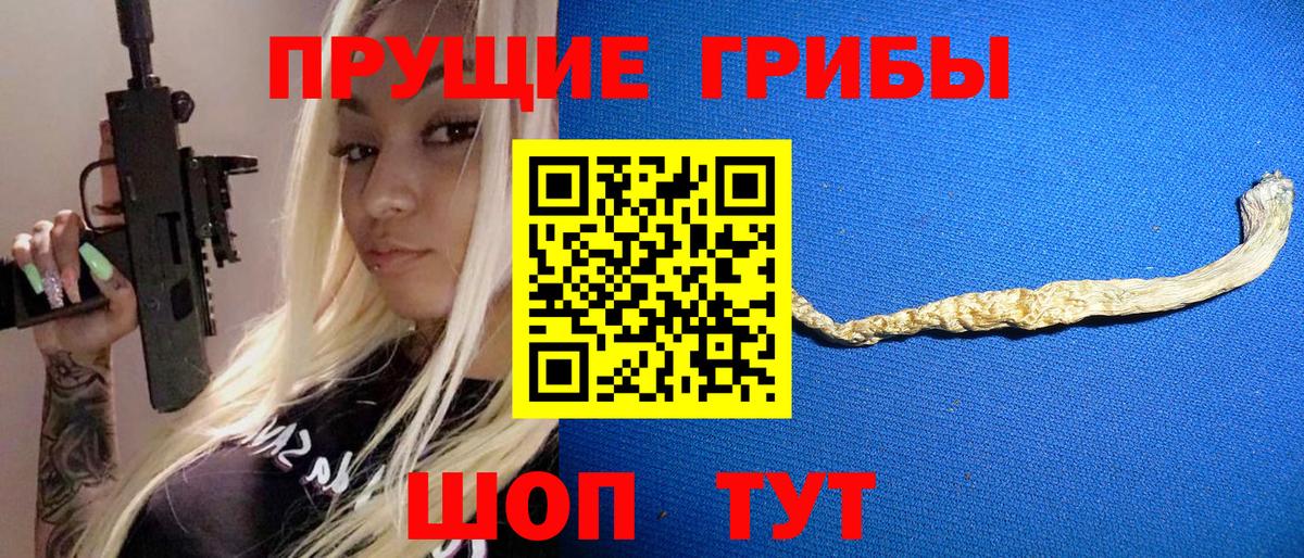 Апшеронск  Псилоцибиновые грибы Cubensis  Вход с VPN 