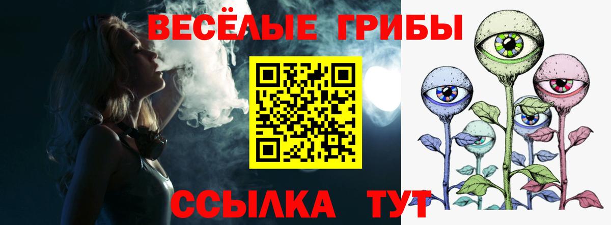 Псилоцибиновые грибы Psilocybe Апшеронск